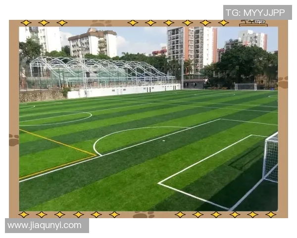 小足球场标准解析与建设指南提升青少年足球运动的场地适应性